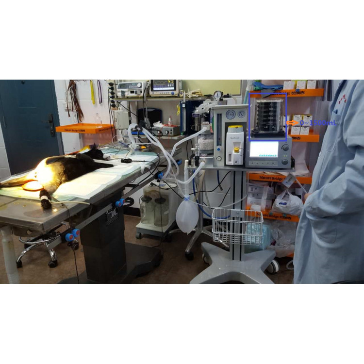 DM-6B Veterinary Anesthesia Machine
